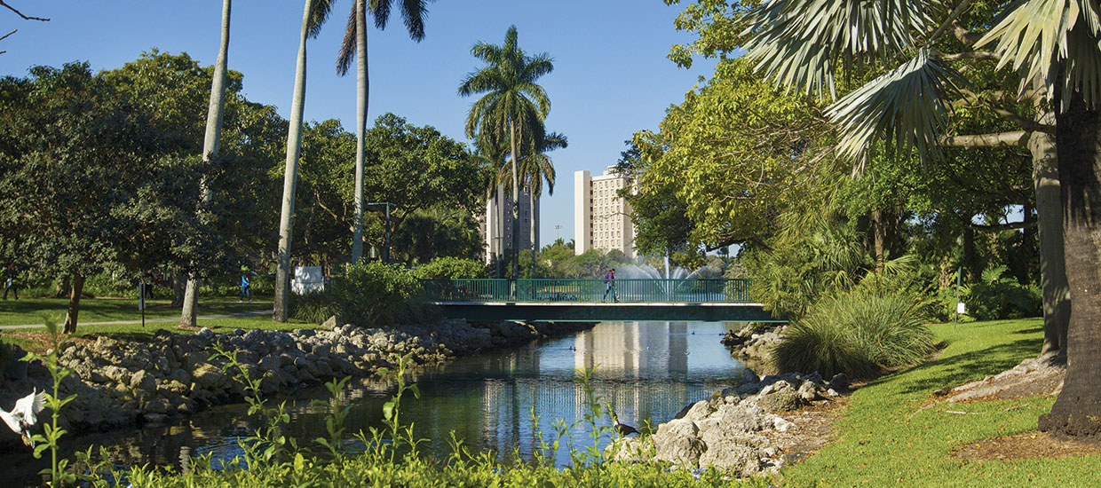 campus_bridge