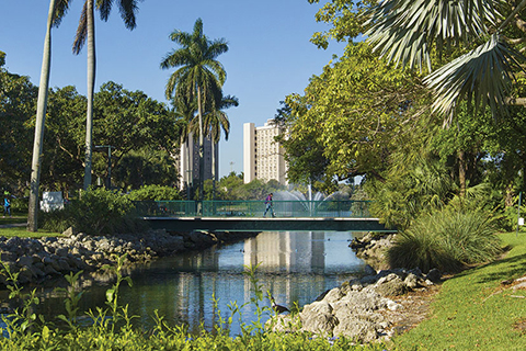 campus_bridge_480x320